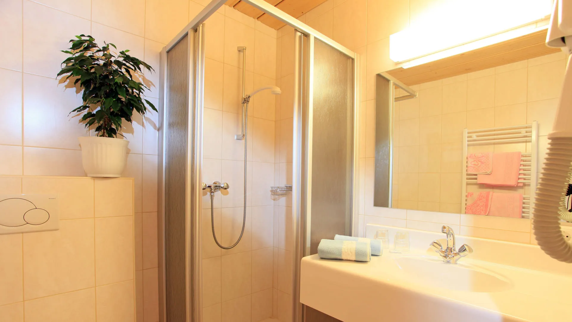 Helles Badezimmer mit Dusche und Pflanzen